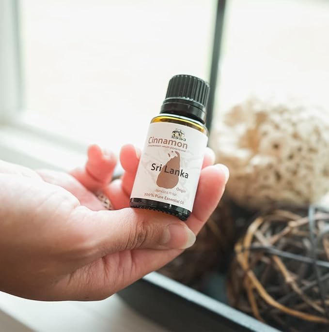 Cinnamon Oil - Direct from Farm in Sri Lanka - Bulk Essential Oils - for Diffuser-Aromatherapy Scented Oils (25LBS)