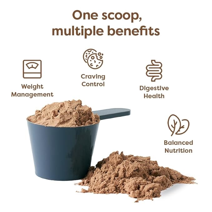310 Nutrition All-In-One Meal Replacement Shake - Fiber-Rich Vegan Superfood Blend with Natural Sweeteners - Low Carb, Keto & Paleo Friendly, Gluten-Free, 26 Essential Vitamins & Minerals, Chocolate Bliss, 28 Servings