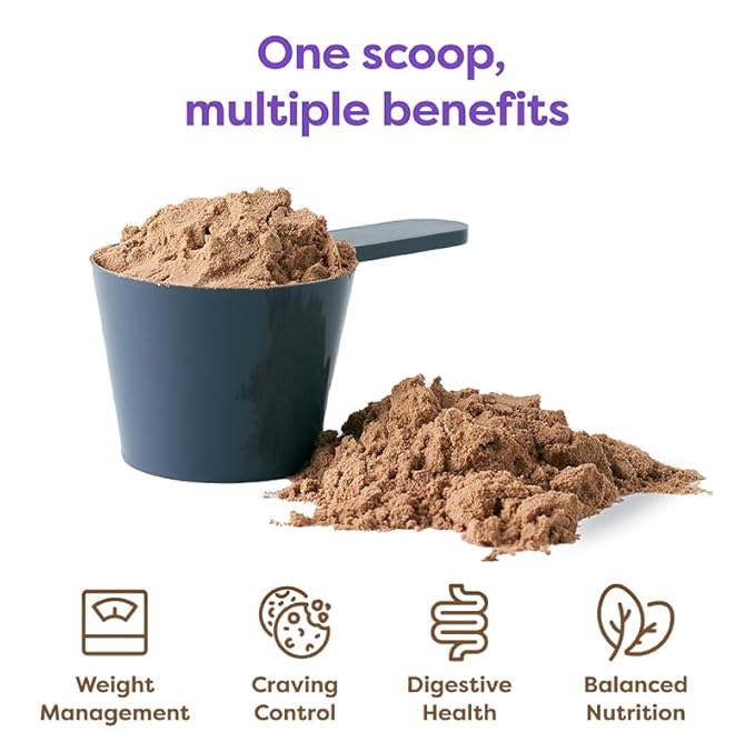 310 Nutrition Meal Replacement Shake - Fiber-Rich Superfood Blend - Low Carb, Keto & Paleo Friendly, Gluten-Free, 26 Essential Vitamins & Minerals, Natural Sweeteners - Mocha, 14 Servings