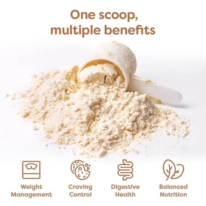 310 Nutrition Meal Replacement Shake - Fiber-Rich Vegan Superfood Blend - Low Carb, Keto & Paleo Friendly, Gluten-Free, 26 Essential Vitamins & Minerals, Natural Sweeteners - Horchata, 14 Servings