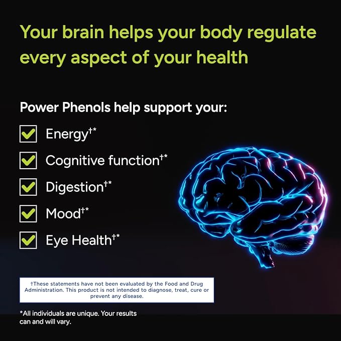 Gundry MD Power Phenols Brain Health (30 Servings)
