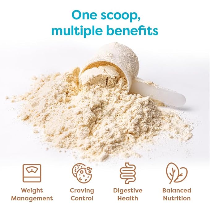 310 Nutrition - All In One Meal Replacement Shake - Superfood Blend with Fiber - Natural Sweeteners - Low Carb Shake, Keto & Paleo Friendly (Vanilla Crème, 14 Servings)