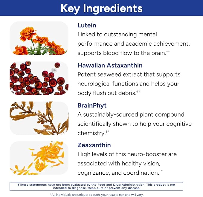 Gundry MD Power Phenols Brain Health (30 Servings)