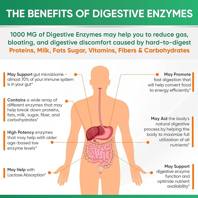 Wholesome Wellness Digestive Enzymes 1000MG Plus 180 Capsules, Bromelain,3-6 Months