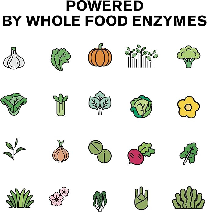 Wild Prebiotics and Probiotics with Digestive Enzymes 20 Billion 10 Strains 30 Capsules