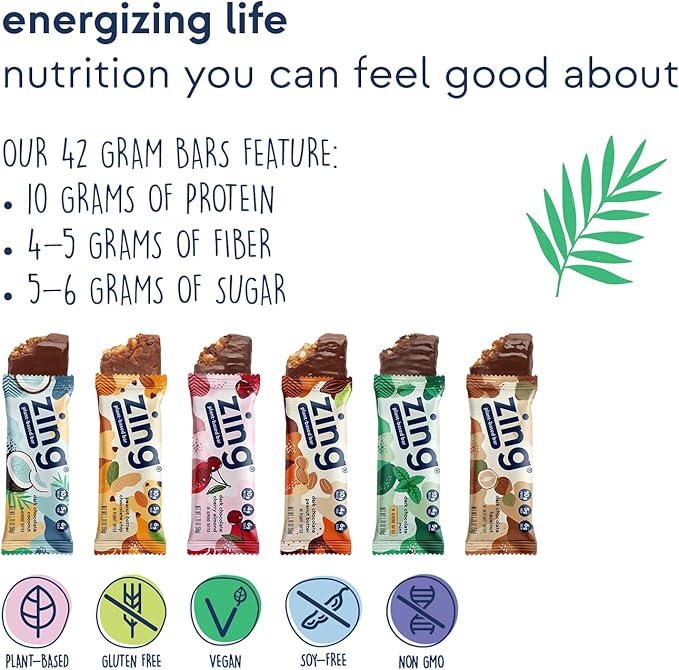 Zing Vegan Protein Bars Variety Pack - Top 6 Flavors, Gluten Free Nutrition Bars, High Protein & Fiber, Soy Free, Dairy Free Plant Based Protein, Kosher, Low Sugar, No Sugar Alcohols - 12 count