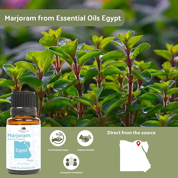 Marjoram Essential Oil - Direct from Essential Oils of Egypt- Pure Essential Oils as Scented Oils for Home or Essential Oils for Candles| 100% Pure Therapeutic Grade (25lbs)
