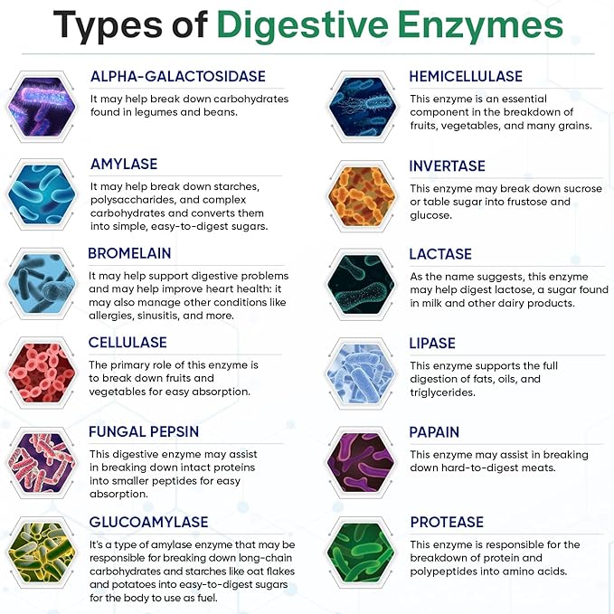 Wholesome Wellness Digestive Enzymes 1000MG Plus 180 Capsules, Bromelain,3-6 Months