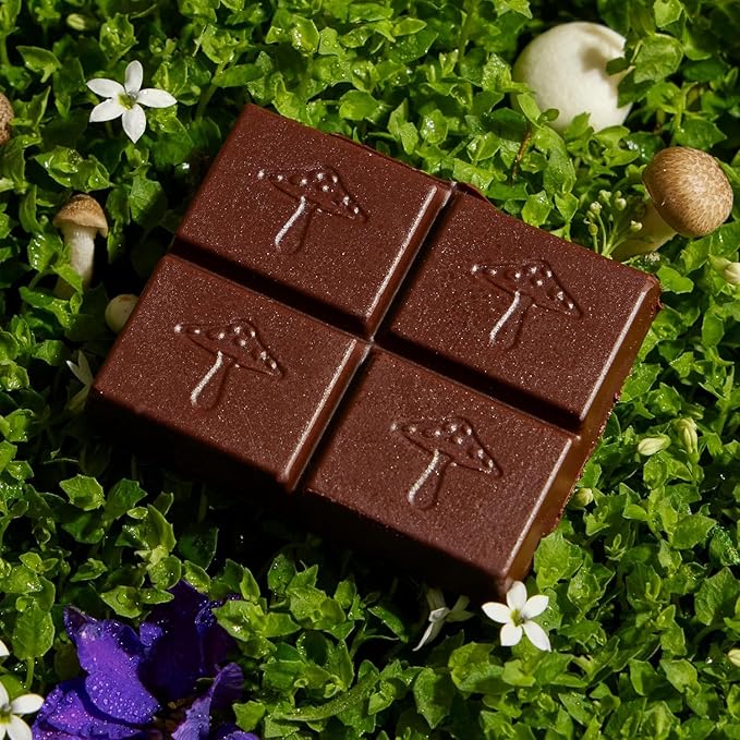 Alice Mushrooms Nightcap + Brainstorm Duo | Functional Mushroom Chocolates | Brainstorm Energy Bites for Focus, Clarity & Cognitive Function | Nightcap Supports Deep Sleep, Calm Mind, Stress Relief