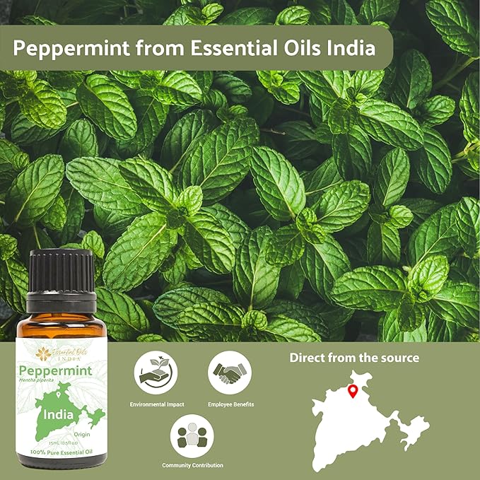 Peppermint Essential Oil (15ml) - Direct from Our Farm Partner in India - Essential Oils for Diffusers Aromatherapy Oil | Pure Therapeutic Grade