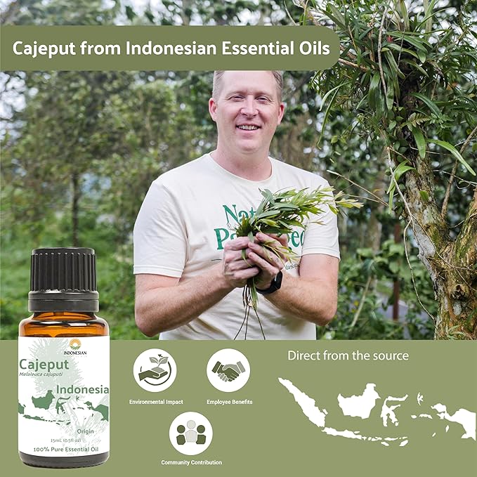 Cajeput Essential Oil (2lbs) - Direct from Central Java, Indonesia - Essential Oils for Diffusers Aromatherapy; Essential Oils for Body; Massage Oils | 100% Pure Therapeutic Grade