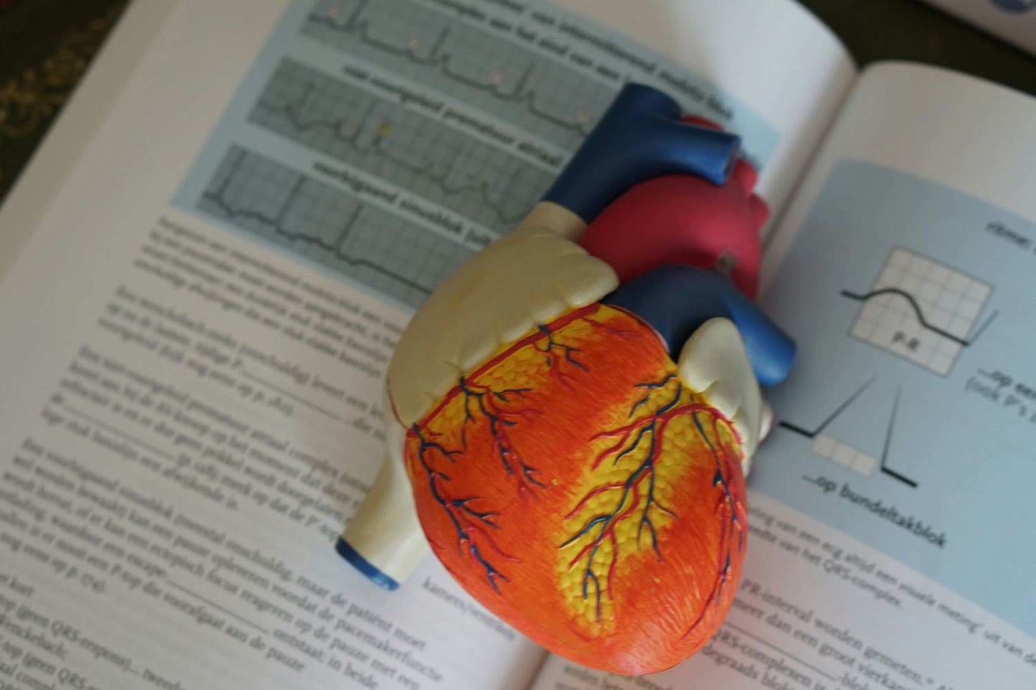 Cardiovascular-support-supplements-with-omega-3-and-CoQ10