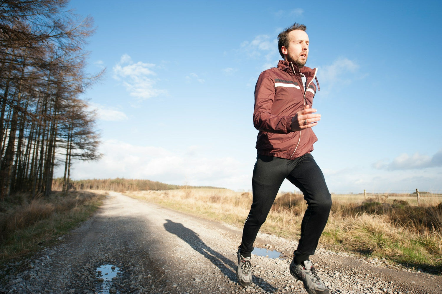 Men’s-energy-and-vitality-supplements-by-PurelyWellHealth