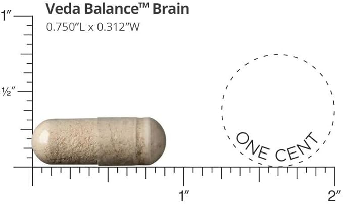 Prajna Ayurveda Veda Balance Brain, practitioner