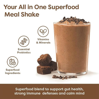310 Nutrition All-In-One Meal Replacement Shake - Fiber-Rich Vegan Superfood Blend with Natural Sweeteners - Low Carb, Keto & Paleo Friendly, Gluten-Free, 26 Essential Vitamins & Minerals, Chocolate Bliss, 28 Servings