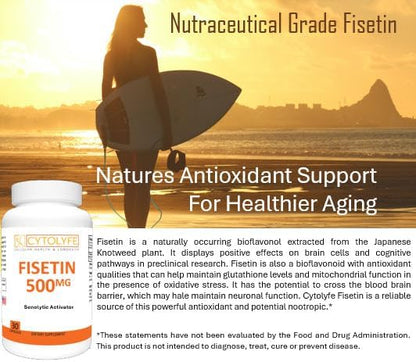 Fisetin 500mg 98% Pure Fisetin 500mg Therapeutic Dose 30 Capsules Senolytic Activator Anti-Aging Longevity