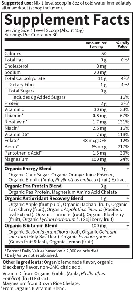 Garden of Life Sport Vegan Organic 30 Servings, 100mg Magnesium, 15.7 Oz