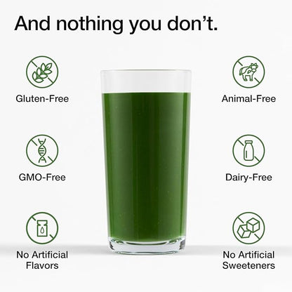 Huel Daily Greens Single Serve | Superfood Greens Powder | 91 Vitamins, Minerals, and Wholefood-Sourced Ingredients | Adaptogens, Antioxidants, Gut-Friendly Probiotics | 12 Pack