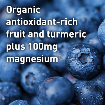 Garden of Life Sport Vegan Organic 30 Servings, 100mg Magnesium, 15.7 Oz
