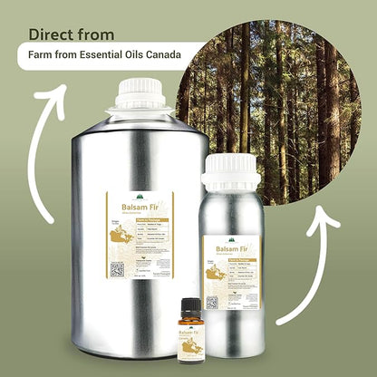 Balsam Fir Essential Oil (15ml) - Direct from Our Farm Partner in Canada - Essential Oils for Home, Humidifier, or Aromatherapy | Pure Therapeutic Grade