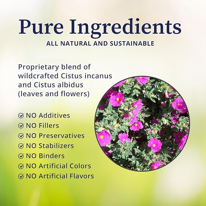 BioPure Cistus Loose Tea – Wildcrafted Cistus Incanus & Cistus Albidus Rich in Antioxidants, Polyphenols & Bioflavonoids great for Immune Function, the Gut, and Overall Wellness – 3.5oz