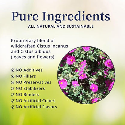BioPure Cistus Loose Tea – Wildcrafted Cistus Incanus & Cistus Albidus Rich in Antioxidants, Polyphenols & Bioflavonoids great for Immune Function, the Gut, and Overall Wellness – 3.5oz