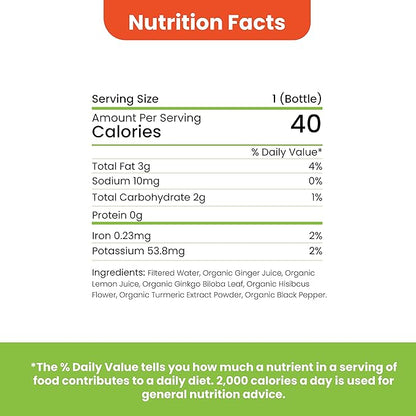 TEAONIC My Brain Mojo: Focus Wellness Shots 12 Bottles 2 Fl