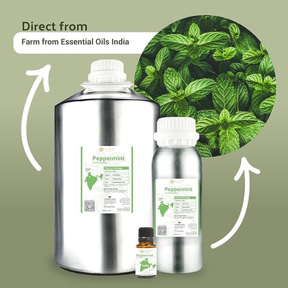 Peppermint Essential Oil (15ml) - Direct from Our Farm Partner in India - Essential Oils for Diffusers Aromatherapy Oil | Pure Therapeutic Grade