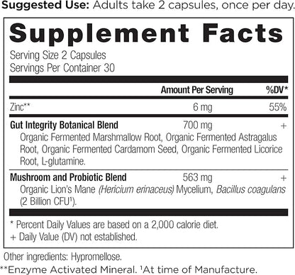 Gut Health Supplement by Ancient Nutrition 60ctFormulated with 60 Ct