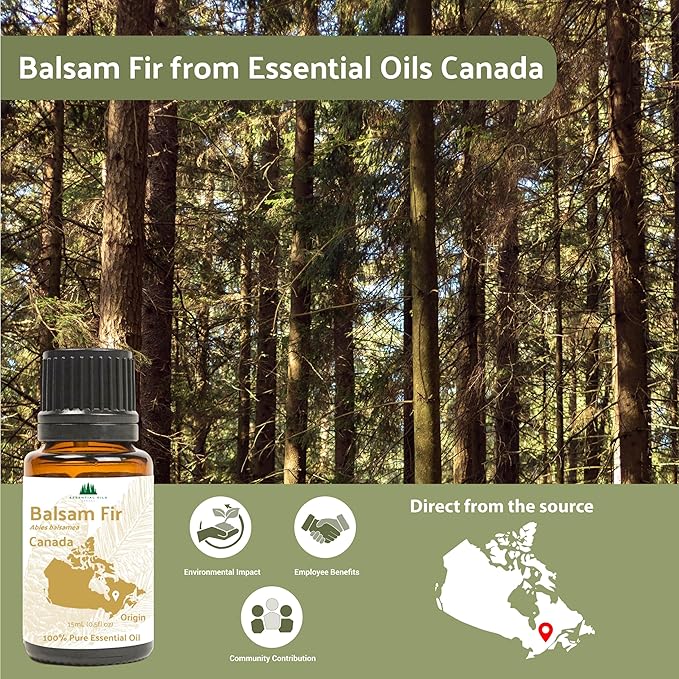 Balsam Fir Essential Oil (15ml) - Direct from Our Farm Partner in Canada - Essential Oils for Home, Humidifier, or Aromatherapy | Pure Therapeutic Grade
