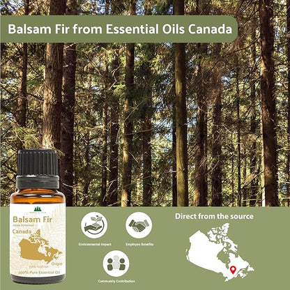 Balsam Fir Essential Oil (15ml) - Direct from Our Farm Partner in Canada - Essential Oils for Home, Humidifier, or Aromatherapy | Pure Therapeutic Grade