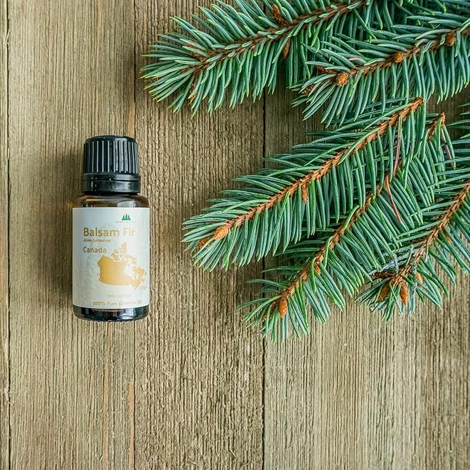 Balsam Fir Essential Oil (15ml) - Direct from Our Farm Partner in Canada - Essential Oils for Home, Humidifier, or Aromatherapy | Pure Therapeutic Grade